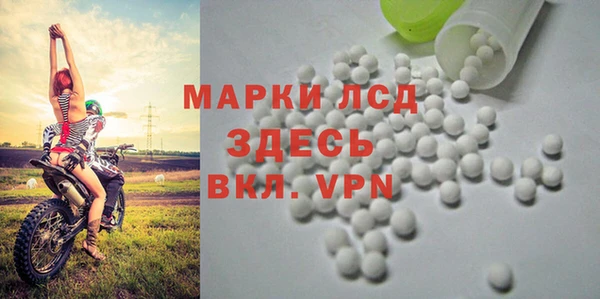 a pvp Аркадак